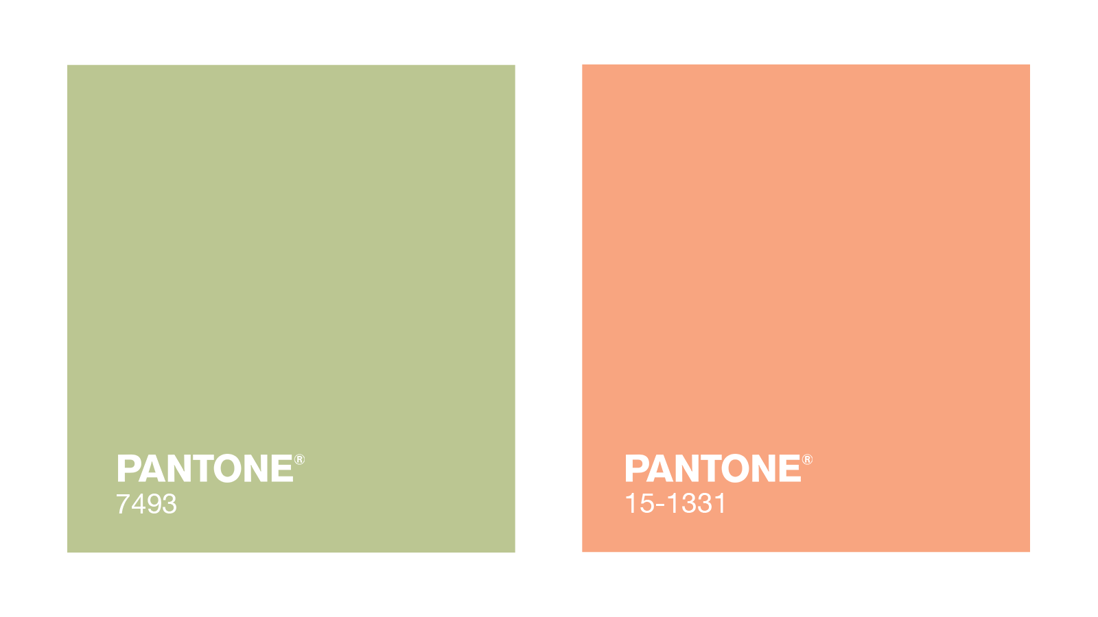 Selin brand color palette using Pantone 15-1331 and Pantone 7493